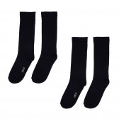 Чорапи с името на бранда, тъмно сини Chicco 244989 