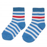 Комплект от три чифта чорапи в синьо и сиво Chicco 248521 4