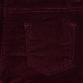 Памучен панталон с флорален принт за бебе, червен Chicco 252456 3