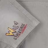 Къси памучни панталони за бебе момче в сив цвят Boboli 253256 3