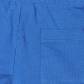 Памучни къси панталонки с апликация и щампа, сини Benetton 253902 3