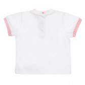 Памучен комплект тениска и къси панталонки за бебе в бяло и червено Chicco 255684 5