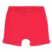 Памучен комплект тениска и къси панталонки за бебе в бяло и червено Chicco 255685 6