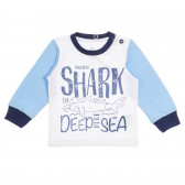 Памучна пижама Shark за бебе, синя Chicco 255785 2