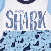 Памучна пижама Shark за бебе, синя Chicco 255786 3