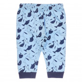 Памучна пижама Shark за бебе, синя Chicco 255789 6