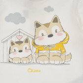 Памучен комплект блуза с клин за бебе в бяло и кафяво Chicco 256136 3