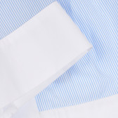 Памучна раирана пола с панделка в бяло и синьо Chicco 256254 2