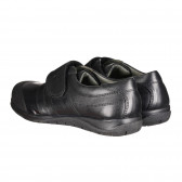 Елегантни кожени обувки, черни Chicco 257782 2