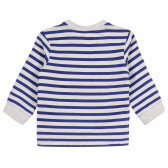 Памучна пижама с графичен принт за бебе в синьо и сиво Chicco 258521 5