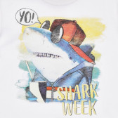 Памучна тениска с щампа Shark week за бебе, бяла Benetton 260614 2