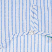  Памучна блуза с къс ръкав в бяло и синьо райе Benetton 265262 3