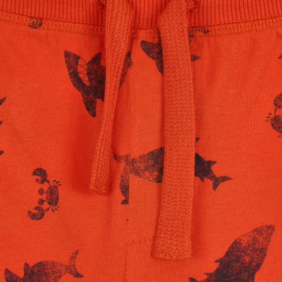Памучен къс панталон с принт на акули за бебе, оранжев Benetton 266642 2