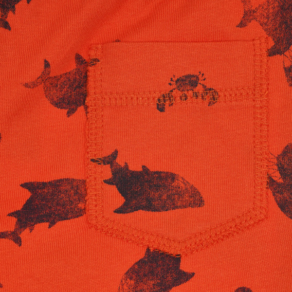 Памучен къс панталон с принт на акули за бебе, оранжев Benetton 266643 3