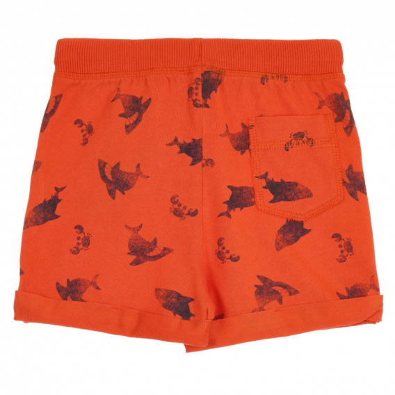 Памучен къс панталон с принт на акули за бебе, оранжев Benetton 266644 4