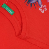Памучна тениска с флорална щампа за бебе, червена Benetton 268556 3