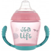 Полипропиленова неразливаща се чаша, Sea Life 230 мл., 9+ месеца, розова Canpol 268790 7