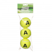 Комплект топки за тенис на корт, 3 бр., Champion Amaya 274497 2