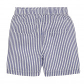 Къси панталони в синьо и бяло райе за бебе Cool club 280000 3