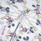 Чадър с ръчно отваряне с принт на MICKEY Mickey Mouse 287047 3