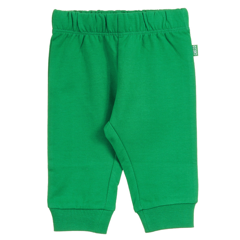 Памучен панталон зелен  296112