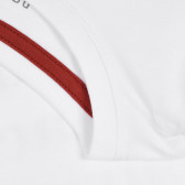 Блуза от органичен памук с цветни надписи, бяла Name it 296169 3