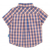 Памучна карирана риза за бебе, многоцветна Chicco 300830 4