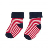 Комплект от три чифта чорапи, многоцветни Cool club 305094 11