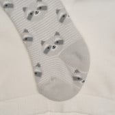 Раиран чорапогащник с апликации за бебе Cool club 307329 2