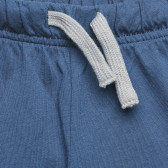Къс панталон за бебе с щампа "W" , син Benetton 313938 2