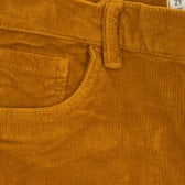 Втален джинсов панталон, кафяв ZY 317005 2
