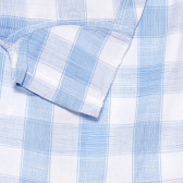Риза с къс ръкав в бяло и синьо райе ZY 318291 3