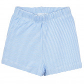 Памучни къс панталонки за бебе в бяло и синьо райе ZY 319731 