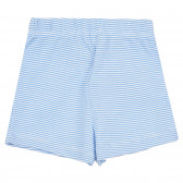Памучни къс панталонки за бебе в бяло и синьо райе ZY 319733 3