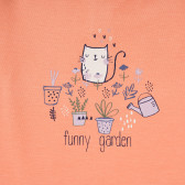 Боди тип блуза Funny garden за бебе, оранжево ZY 320212 2