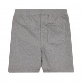 Къс панталон с щампа на Minion, сив ZY 320867 4