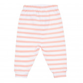 Раиран панталон за бебе, многоцветен ZY 321091 4