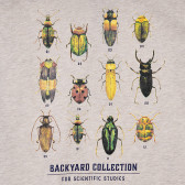 Блуза Backyard collection, сива ZY 321659 2