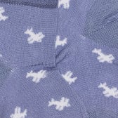 Памучни сини чорапи на самолети за бебе Chicco 326117 2