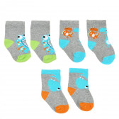 Комплект от три чифта чорапи за бебе за момче многоцветни YO! 336017 4