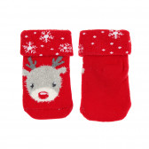 Комплект от три чифта чорапи с коледен мотив за бебе, многоцветен Cool club 339479 3