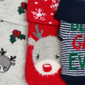 Комплект от три чифта чорапи с коледен мотив за бебе, многоцветен Cool club 339480 4
