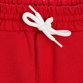 Спортен панталон с мече, червен ALG 339542 2