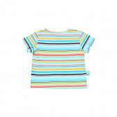 Памучна тениска в цветно райе за бебе Boboli 341050 2