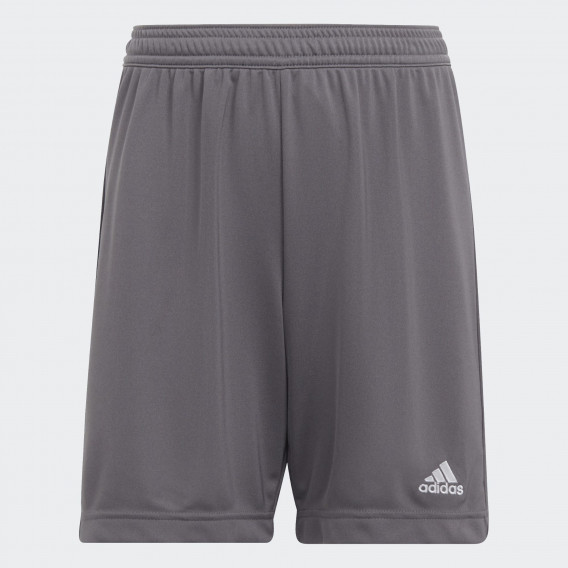 Къси спортни панталони, сиви Adidas 342267 