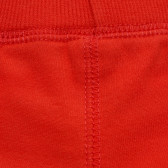 Къси панталони за бебе в коралов цвят Tape a l'oeil 343406 3