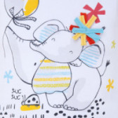 Комплект от 2 части за бебе момиче с щампа на слонче Tuc Tuc 34433 3