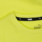 Памучна тениска Power с логото на бранда, жълта Puma 345851 3