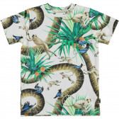 Тениска с щампа Monkey Business, многоцветна Molo 347097 