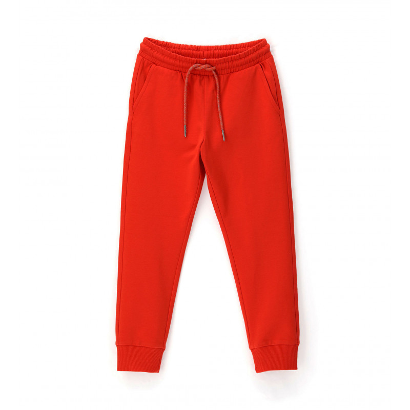 Спортен панталон Basic, червен  360676
